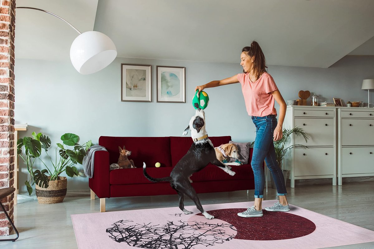 Vloerkleed voor woonkamer, keuken, slaapkamer, eetkamer, entree, lage batterij, voor dieren (roze, 80 x 300 cm)
