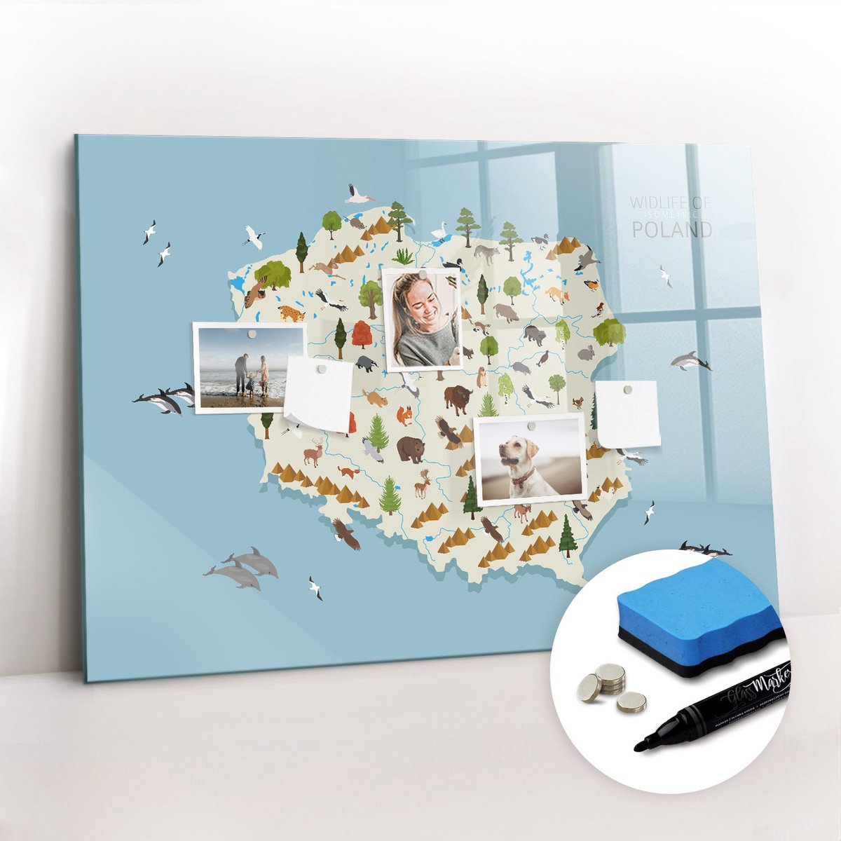 Tulup Whitebord - Poolse dierenkaart - 100 x 70 cm - Veelkleurig Memobord Magnetisch - Gratis 5 Sterke Magneten + Whiteboard Marker & Wisser - Wanddecoratie Kantoor - Memobord Keuken - Ideeënbord Thuiswerkplek