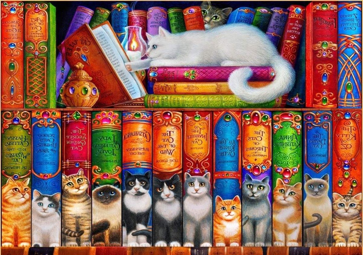 Legpuzzel Kat Boekenplank - Puzzel 1000 stukjes - Ontspannen tijdverdrijf - Gedetailleerd kunstwerk - 69 x 47.8 cm - Multicolor