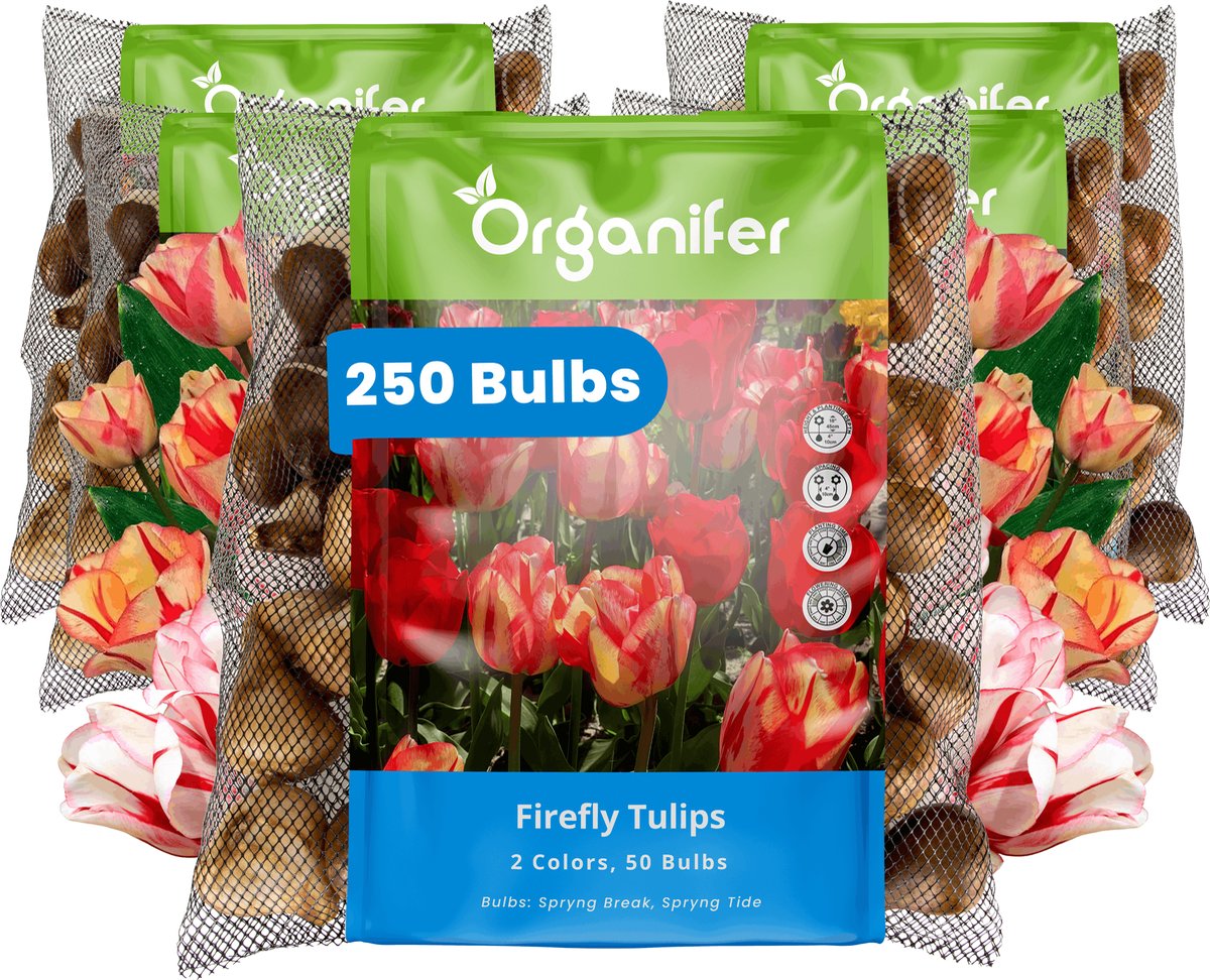 Tulpenbollen - 250 Bloembollen - Firefly - Spryng Tide & Break Kleurenmix - Organifer