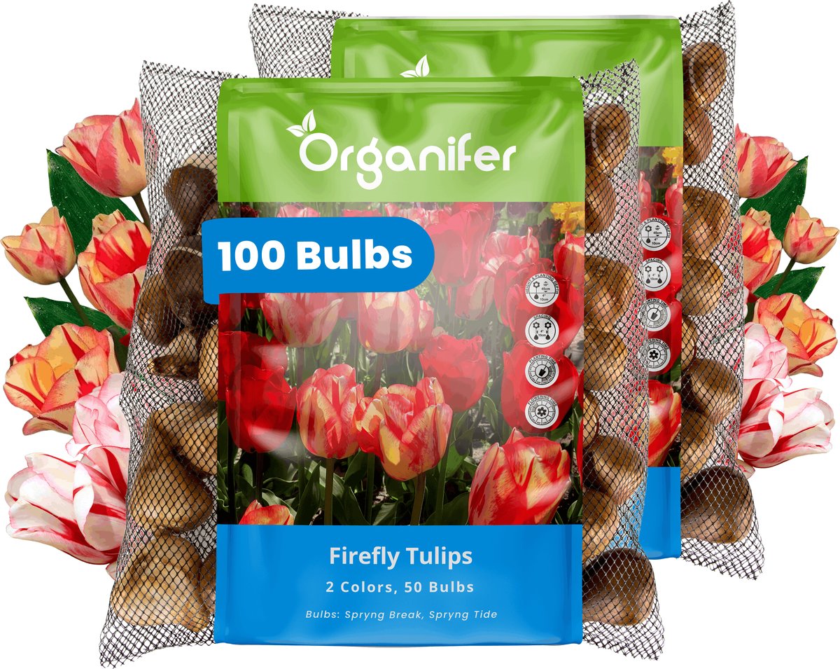 Tulpenbollen - 100 Bloembollen - Firefly - Spryng Tide & Break Kleurenmix - Organifer