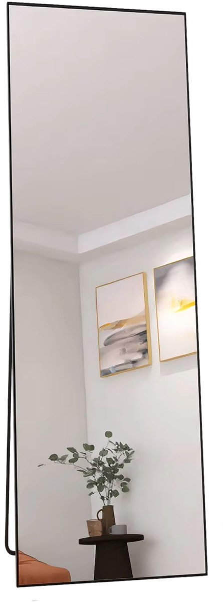Vloerspiegel 162 X 53 Cm Zwart - met Metalen Frame