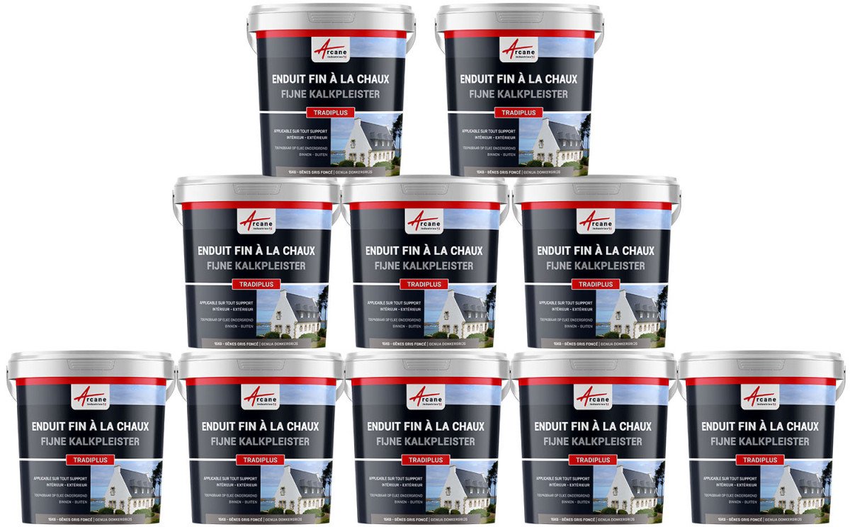 Fijne kalkpleister voor binnen- en buitendecoratie - TRADIPLUS