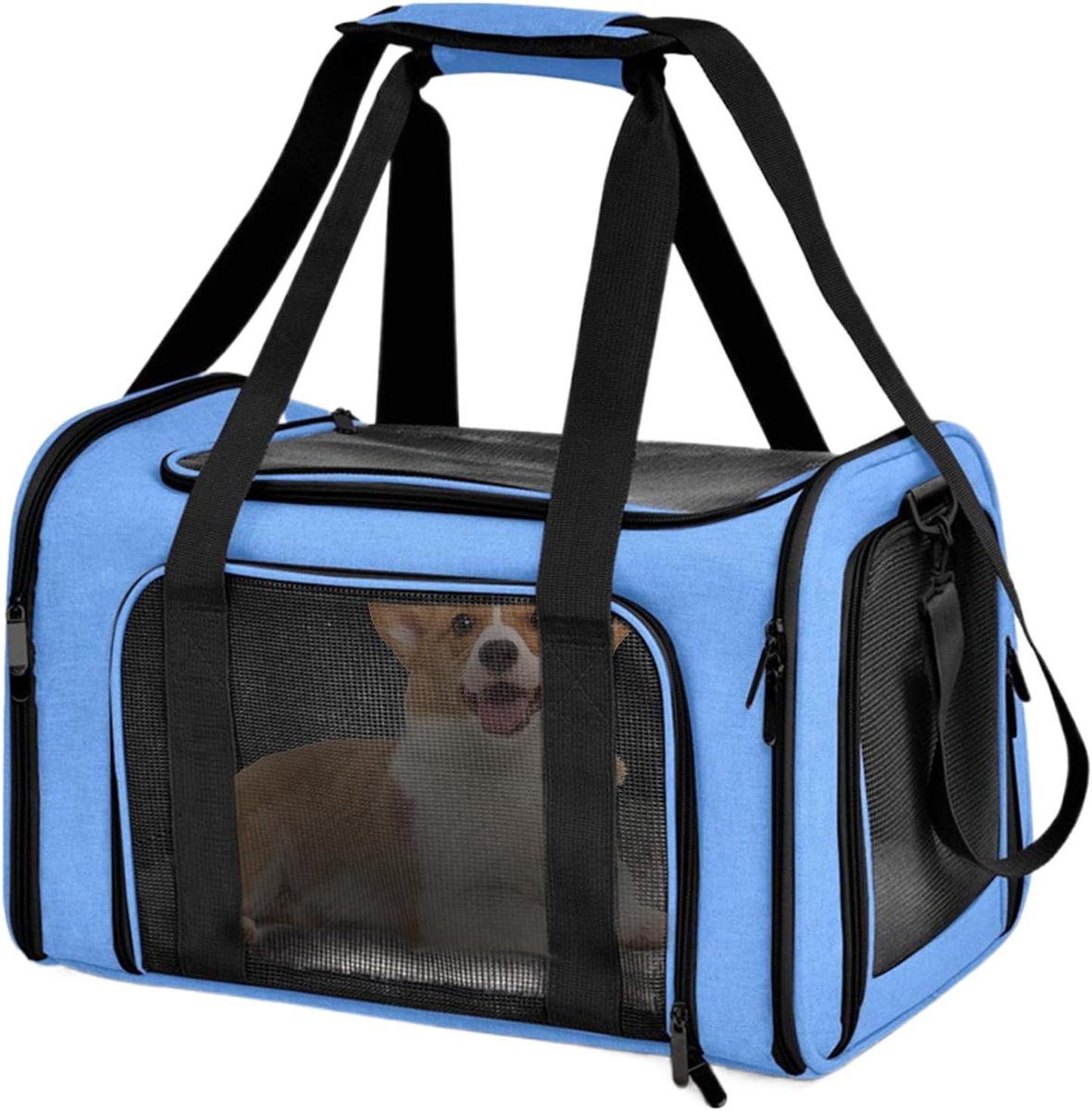 Transportbox Huisdieren - Kattentas Hondentas - Veilig Vervoer - Opvouwbaar Lichtgewicht - 40x25x25 cm - Blauw
