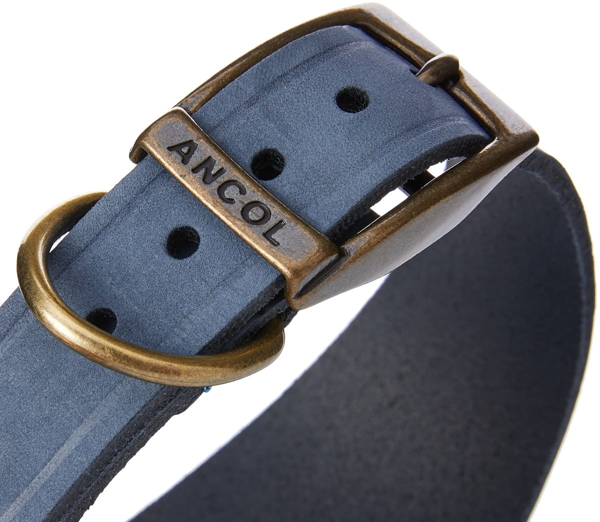 SnelShoppen - Ancol Timberwolf Greyhound Halsband Blauw 34-43 cm - Comfortabele Hondenhalsband van Duurzaam Materiaal voor Actieve Honden