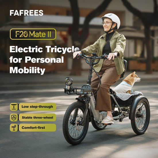 FAFREES F20 Mate II Elektrische Driewieler - 21Ah Accu, 85km Bereik, 65Nm Koppel - Voor Senioren & Dagelijks Gebruik Frost Grey van FAFREES — afbeelding 5
