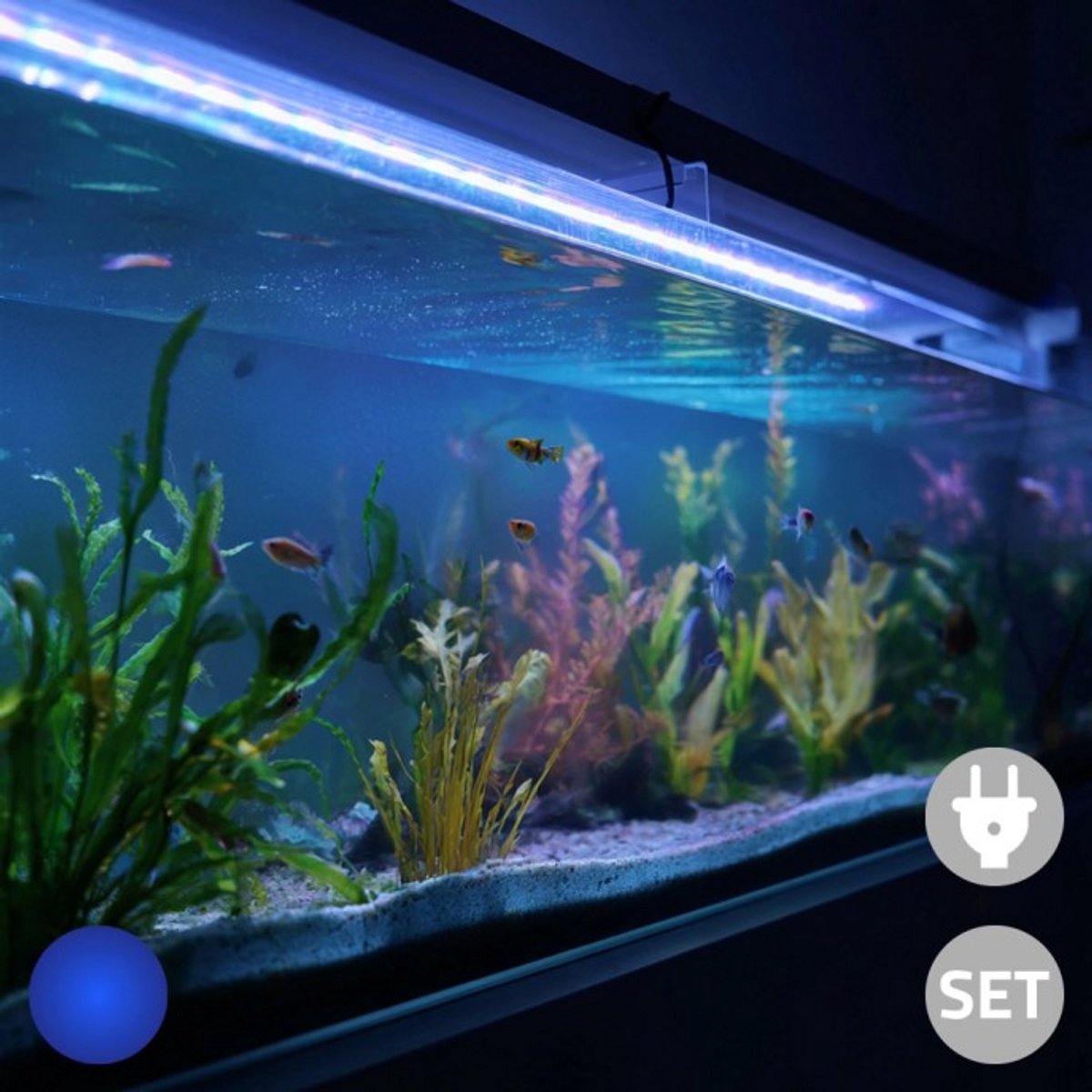 Aquarium Led Verlichting - Blauw licht - 50 t/m 70 cm - Complete set met snoerschakelaar - Aquarium Led strip