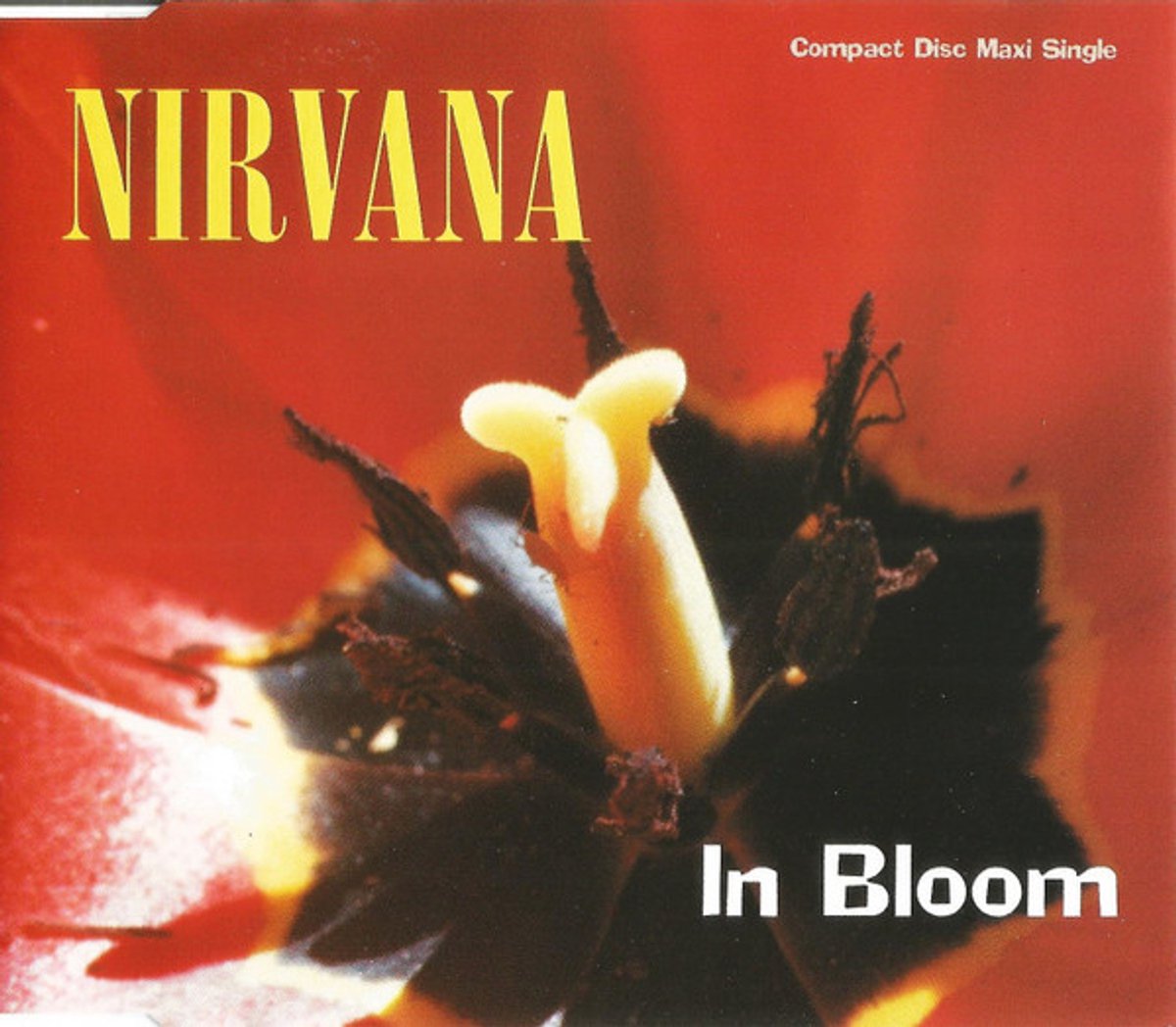 In bloom von Nirvana