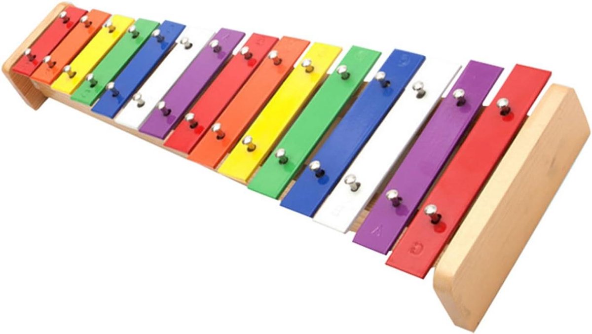 Xylofoon met 15 Noten - Kinderxylofoon Muziekinstrument - Muzikale Ontwikkeling - Metalen Staven Regenboogkleuren