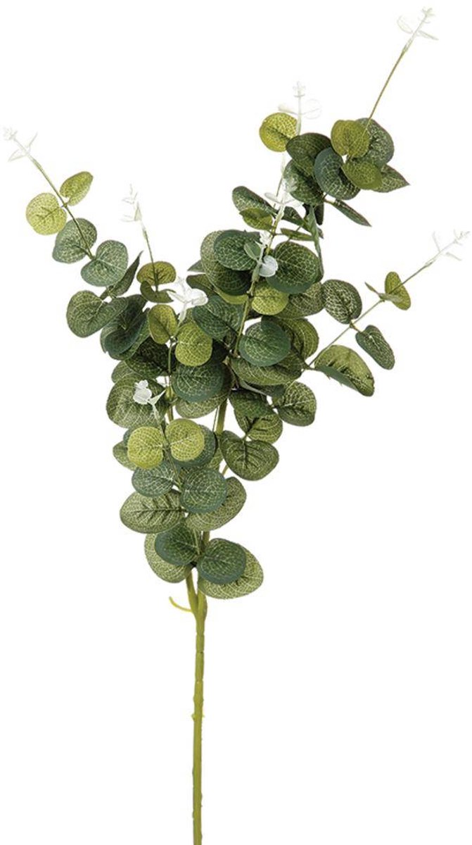 Kunstmatige eucalyptustak