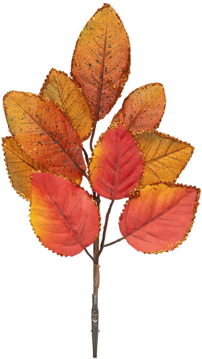 Branche de feuilles de magnolia automne sur pince