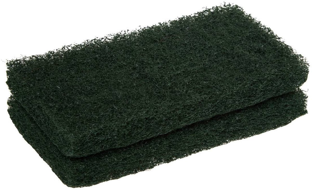 Lot de 2 éponges nettoyantes pour bois exotique