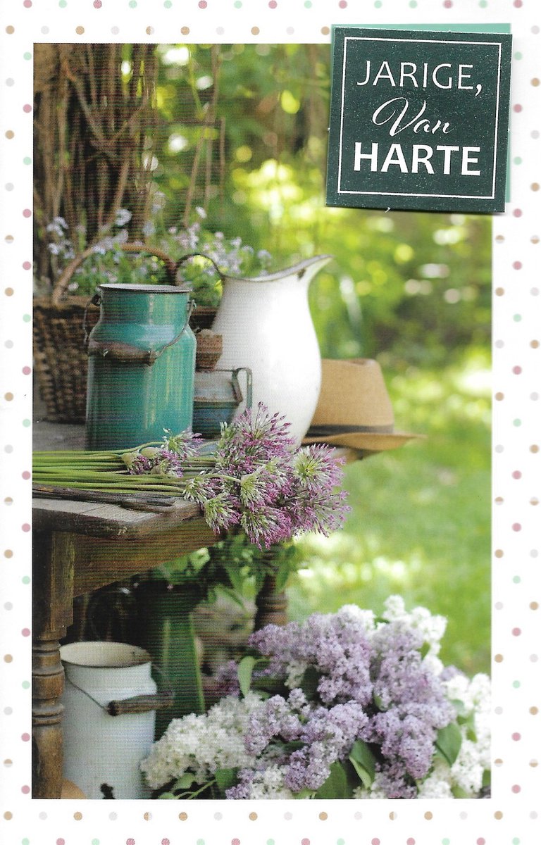 Wenskaart | 6 stuks | ADIOS applicatiekaart jarige, van harte