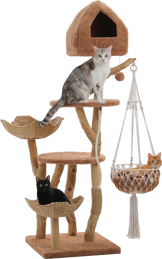 Ecopawpaw Luxe Krabpaal van Natuurlijk Hout 180 cm – Met Handgeweven Hangmand, Rotan Kattenmanden, Kattenhuis, Sisalpalen & Ligplateaus voor 4-6 Katten