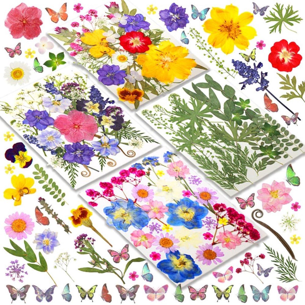 Omgoods - Set van 120 Gedroogde Drukbloemen voor Creatieve Projecten