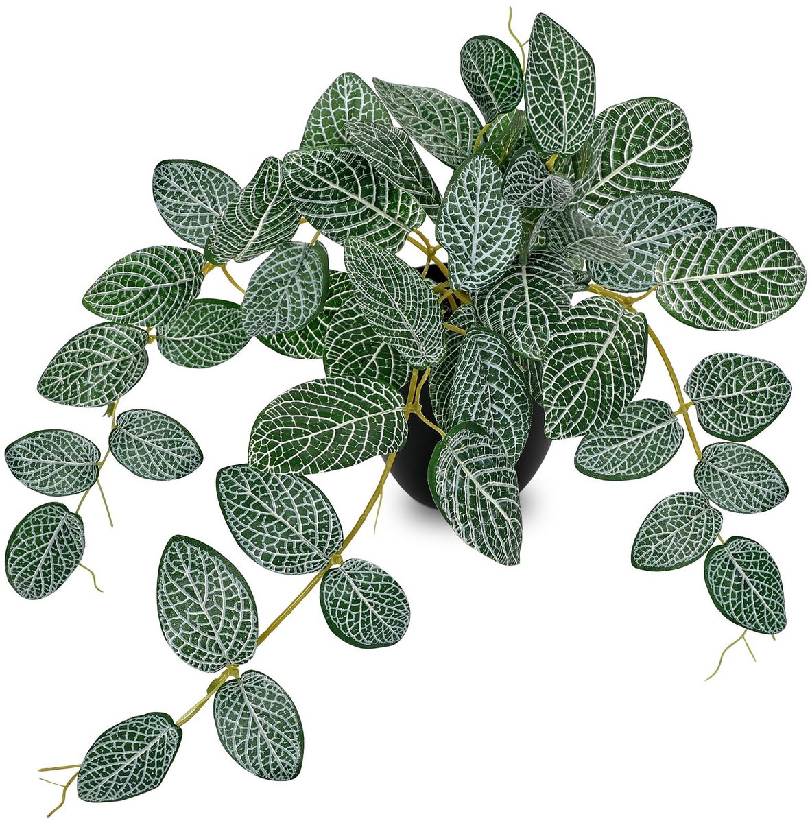 Omgoods - Kunstplant Fittonia in Zwarte Pot - Realistische Faux Groene Plant voor Binnen