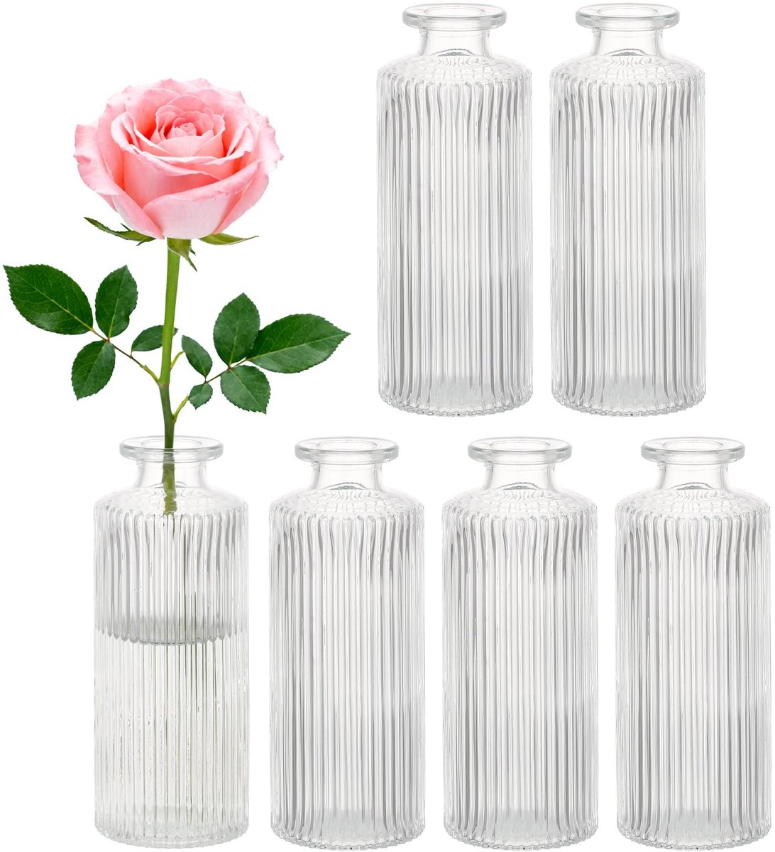 Omgoods - Set van 6 Elegante Mini Glazen Vazen voor Bloemen