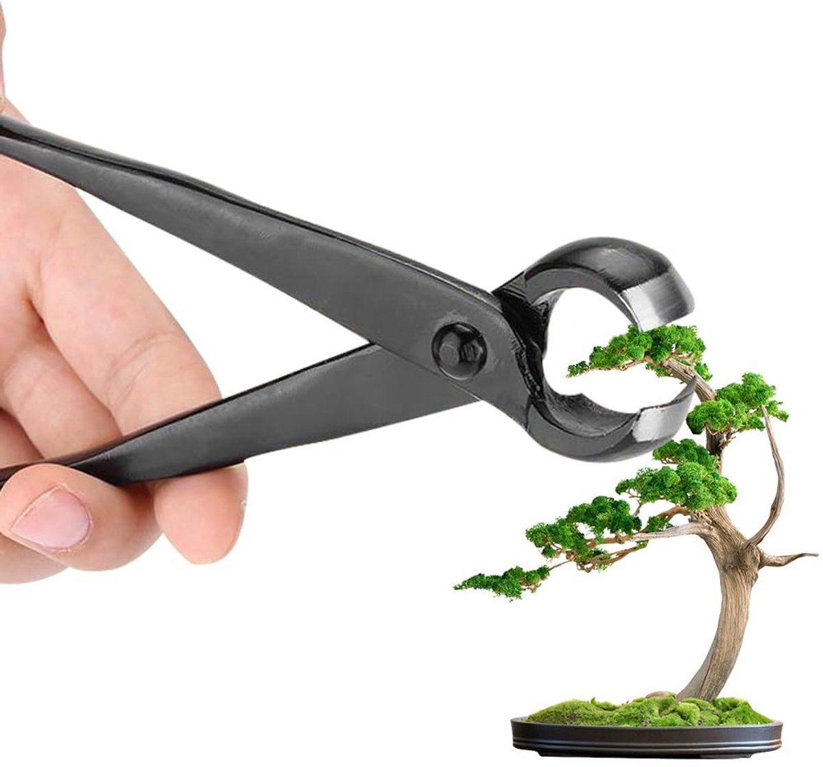Omgoods - Concave Snijder voor Bonsai van Mangaanstaallegering