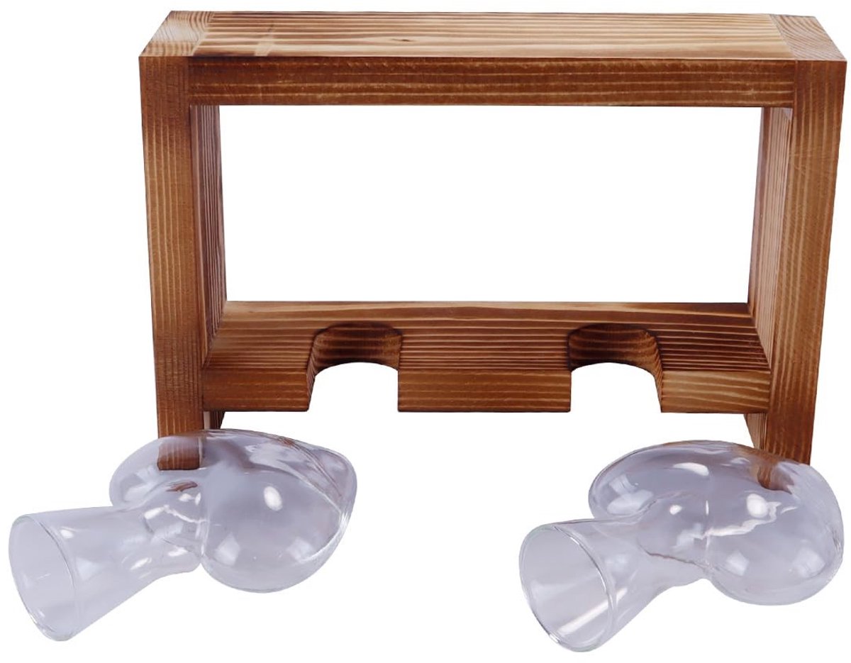 Omgoods - Set van 2 Kleine Bloemenvazen met Houten Frame voor Binnen