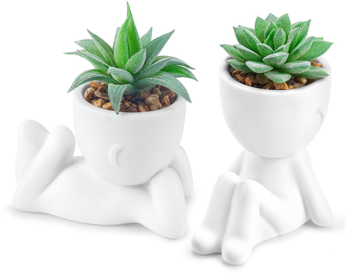 Omgoods - Set van 2 Kunstmatige Vetplanten voor Binnen Decoratie