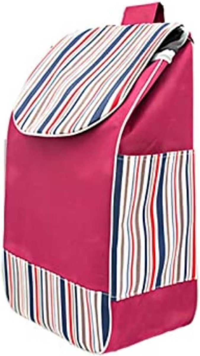 Omgoods- Boodschappentas waterdicht - Opvouwbaar - Oxford-materiaal - 40 liter - Voor winkelwagen - Draagbaar 32 x 20 x 56 cm - Winkeltas