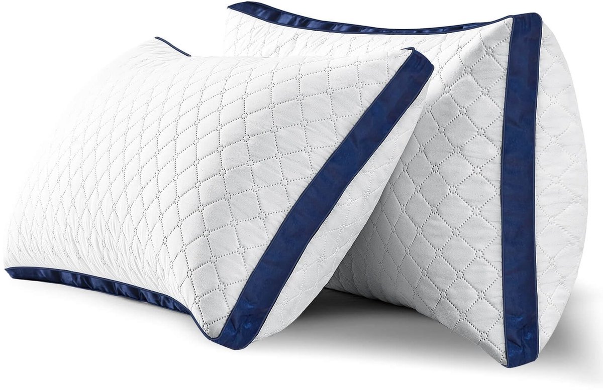 Omgoods - Set van 2 Hotelkwaliteit Hoofdkussens 42x70 cm - Nek- en Schouderondersteuning