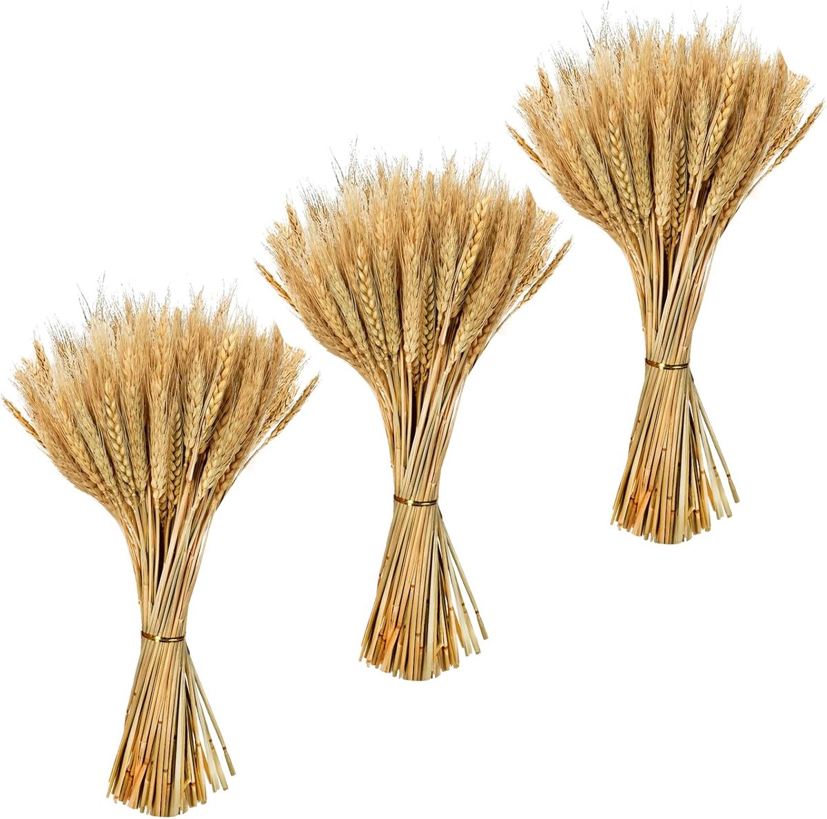 300 stuks gedroogde tarwebloemen, natuurlijke tarwestelen, kunsttarwe, gedroogde tarwe, gedroogde bloemen voor woondecoratie, tafeldecoratie, herfstdecoratie en bruiloftsdecoratie