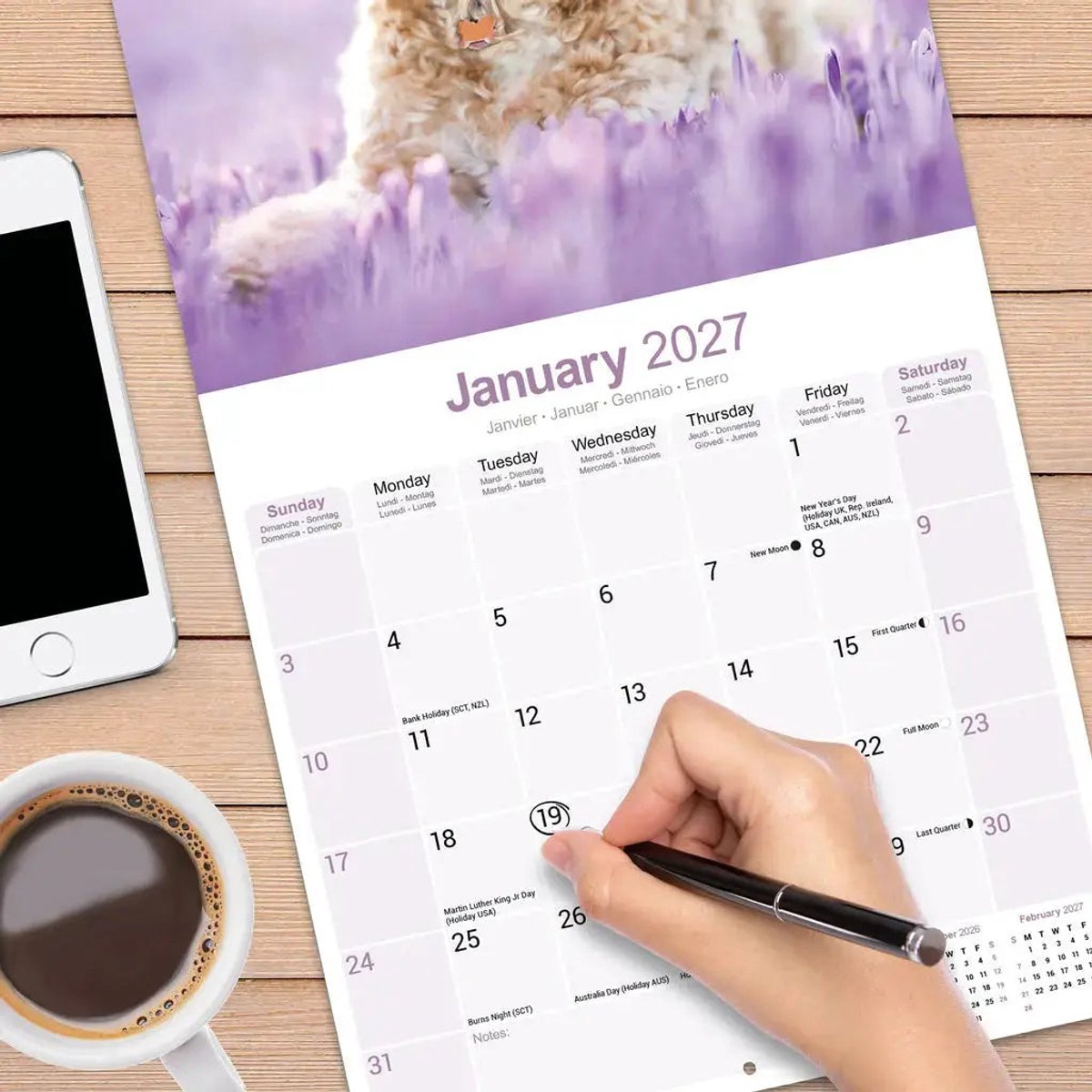 Cockapoo Kalender 2027