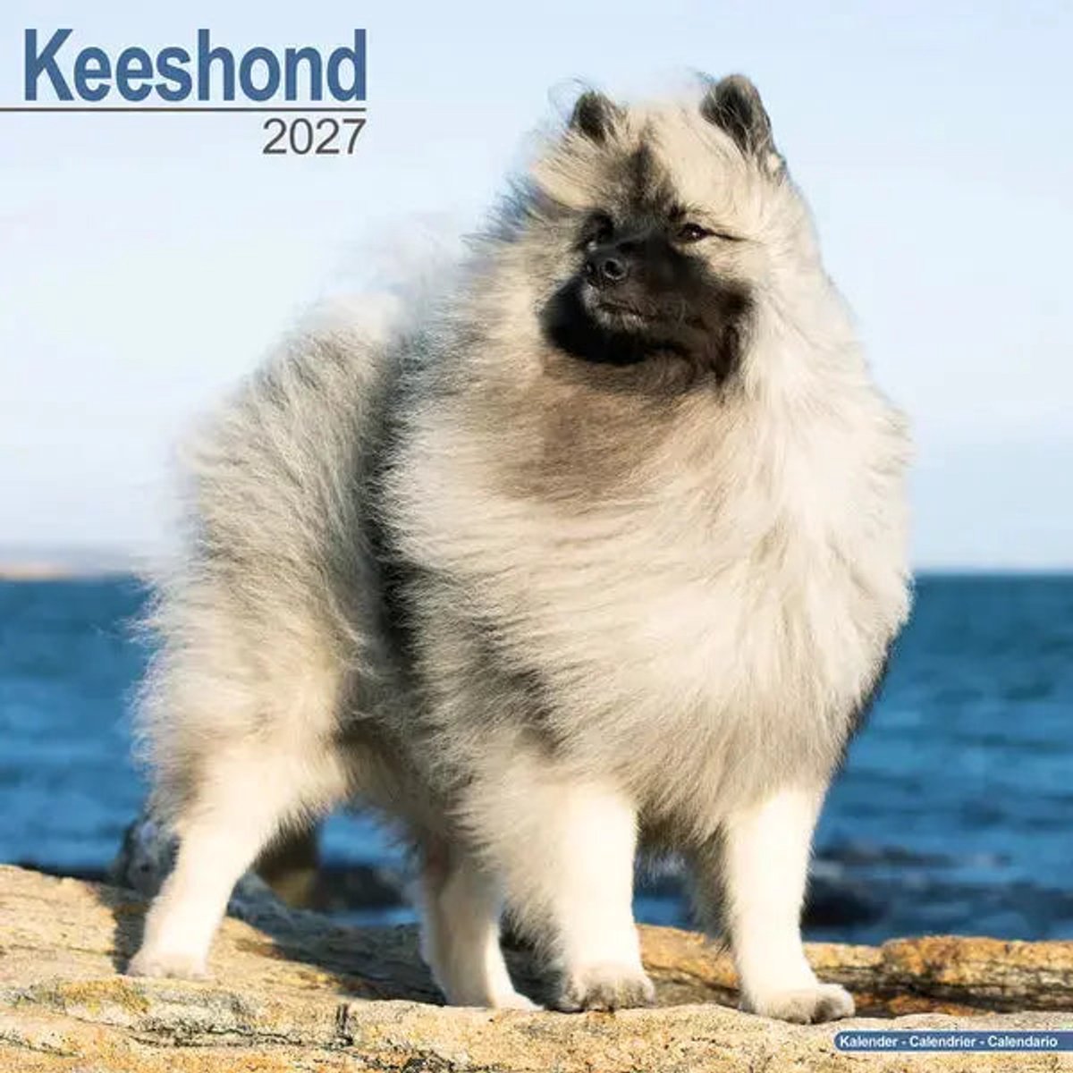 Keeshond Kalender 2027