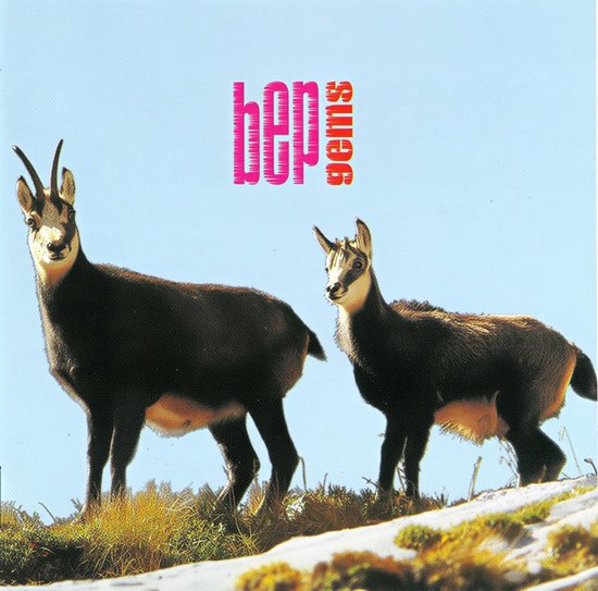 Cd-hoesje met twee gemzen op een besneeuwde heuvel onder een blauwe lucht. Boven de gemzen staat de tekst "bep gems" in roze en witte letters.