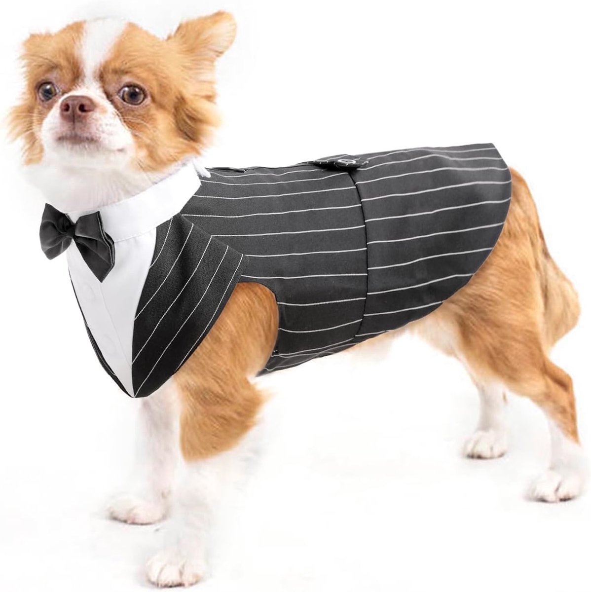 Honden Tuxedo met Vlinderdas en Stropdas voor Bruiloften, Feestjes en Halloween - Streepjespatroon, Maat S