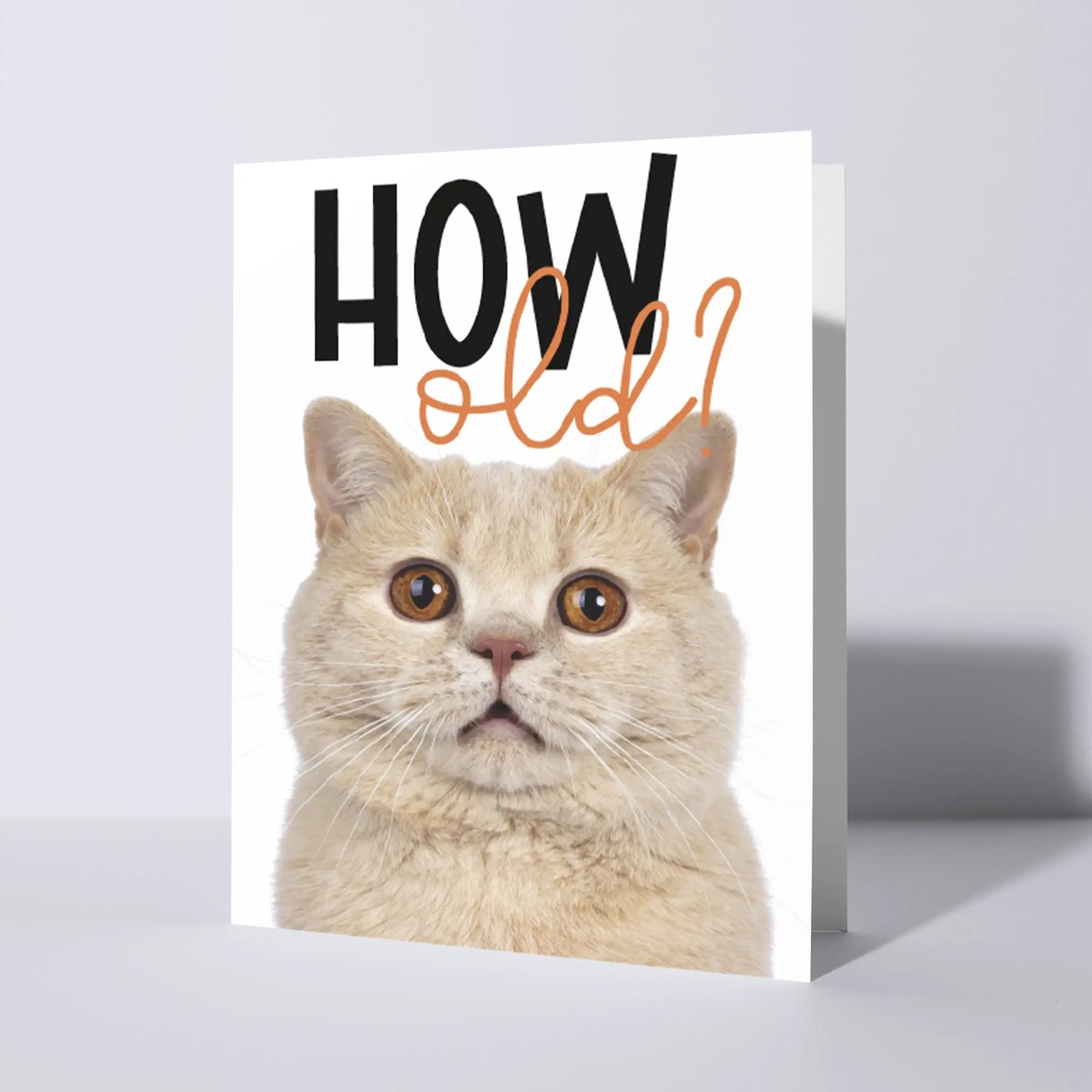 CAT'CHY Cards - wenskaart - verjaardag - kat - brits korthaar
