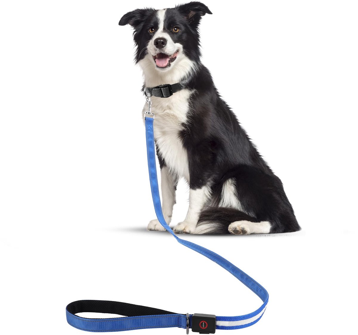 Led-hondenriem 1,2 m - USB-oplaadbaar - waterdicht - nachtveiligheid voor grote/middelgrote honden - ShopVlot