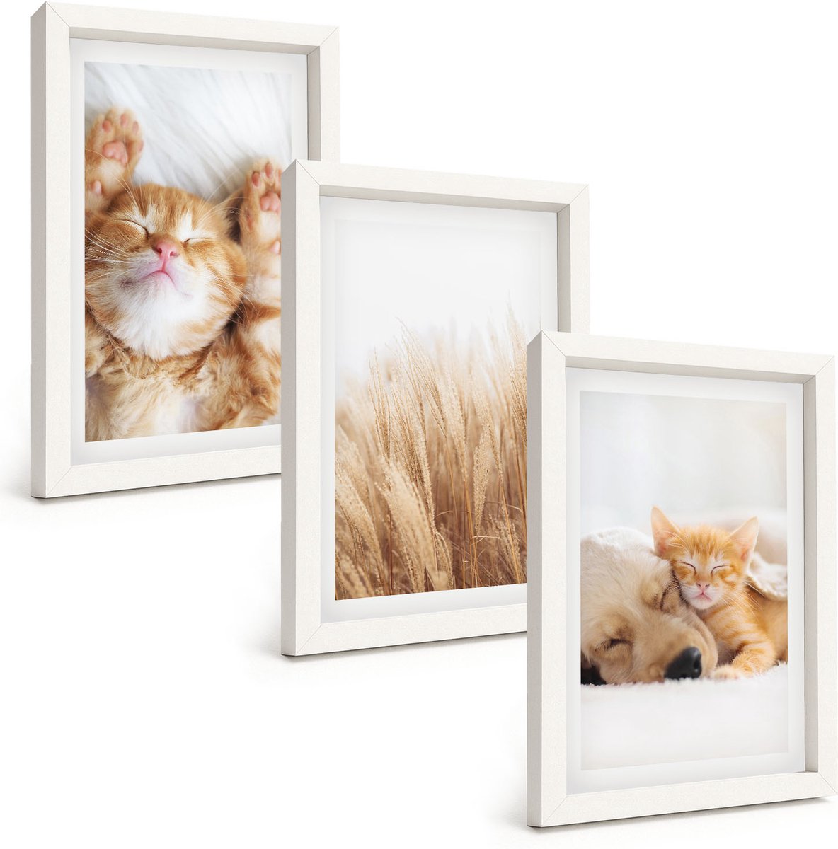 Wallfluent 3-Delige Schilderij Set - Schattige Dieren: Katten, Honden, Zacht Gras, Boho-Stijl. - 20 x 30 - Muurdecoratie - Wanddecoratie - Slaapkamer - Stijlvolle Muurdecoratie