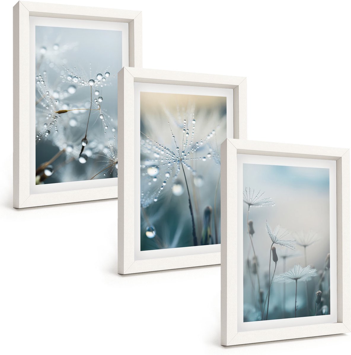 Wallfluent 3-Delige Schilderij Set - Dauwdruppels Op Tere Paardenbloemen - 20 x 30 - Wanddecoratie - Schilderijen Set - Kantoor - Moderne Wanddecoratie