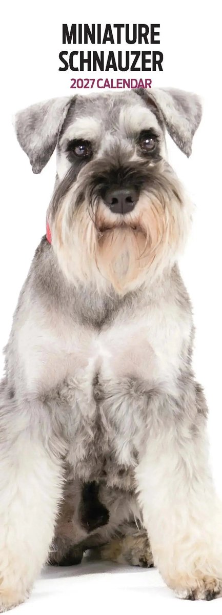 Miniatuur Schnauzer Kalender 2027 Slimline