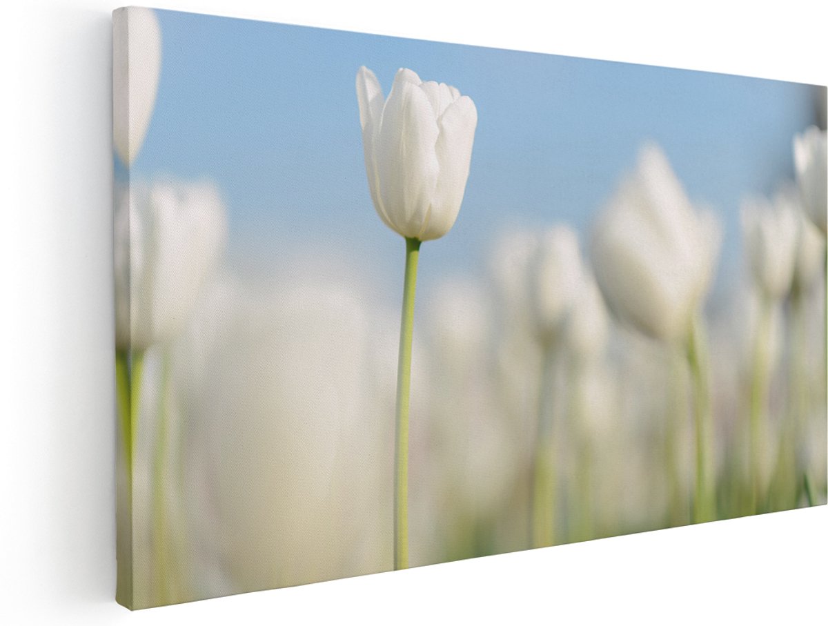 Artaza Canvas Schilderij Witte Tulpen - Bloemen - 180x90 cm - Groot - Wanddecoratie Woonkamer - Schilderijen - Muurdecoratie