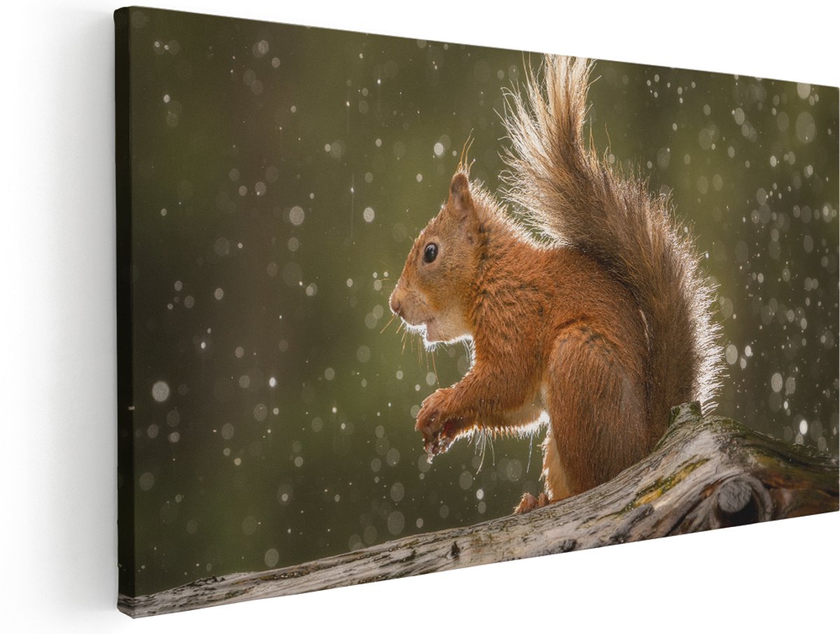 Artaza Canvas Schilderij Eekhoorn in de Regen - 180x90 cm - Groot - Wanddecoratie Woonkamer - Schilderijen - Muurdecoratie