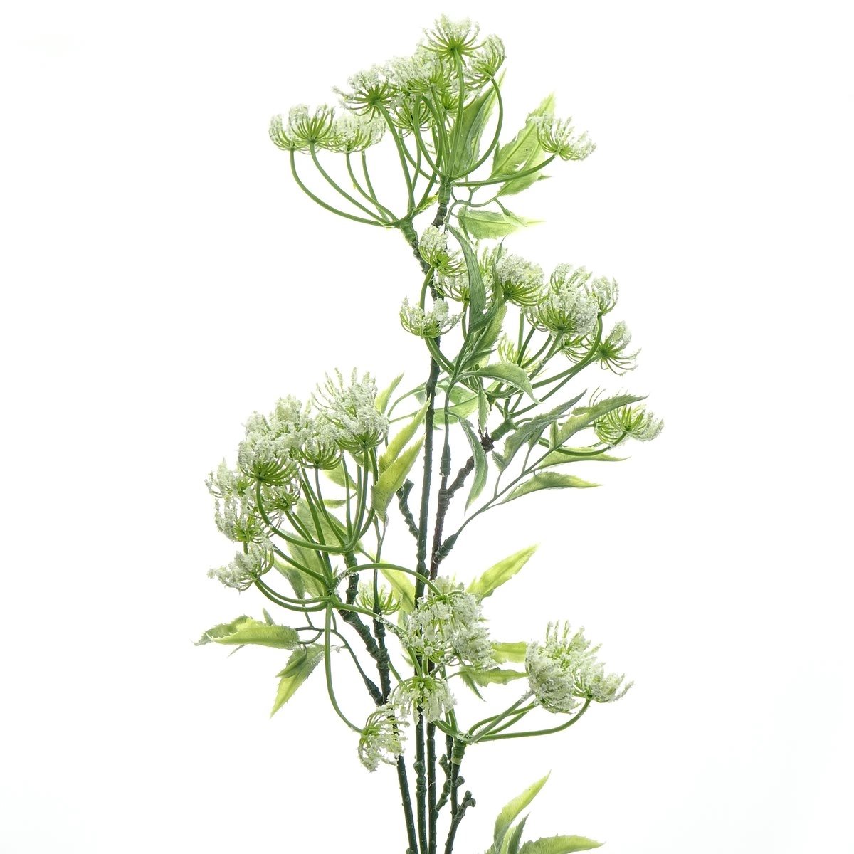 DPI Anethumtak Wit 70 cm - Kunstbloemen