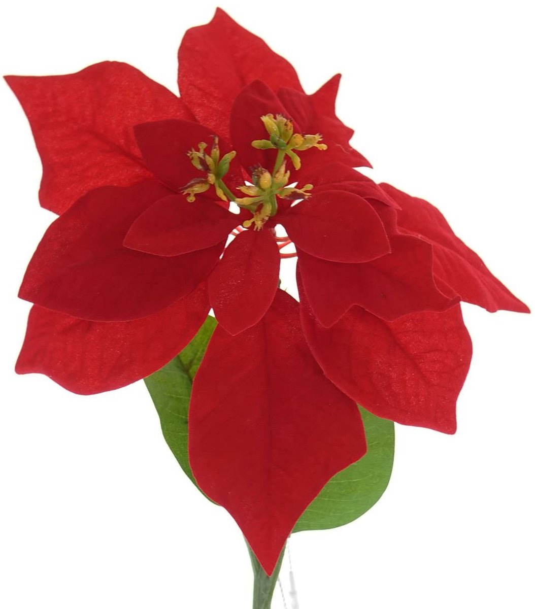 Gasper Kerstster Poinsettia Rood 60 cm - Kunstbloemen