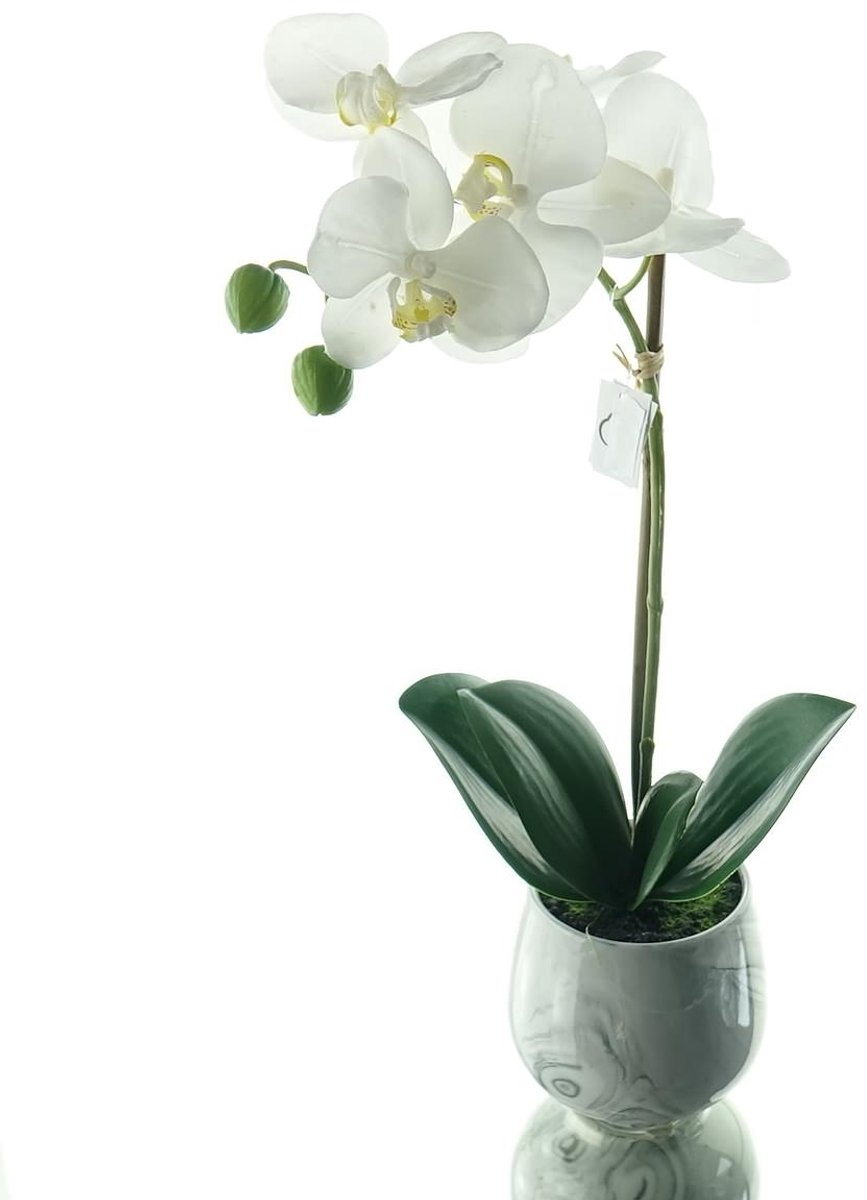 Gasper Vlinderorchidee Wit Keramiekpot 36 cm - Kunstbloemen