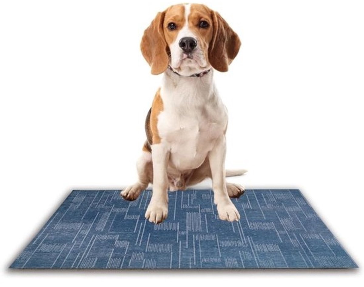 Keukenloper Antislip - Gangloper Vloerkleed - Voorkomt Uitglijden - Waterdicht Vlekbestendig - 110 x 470 cm - Blauw
