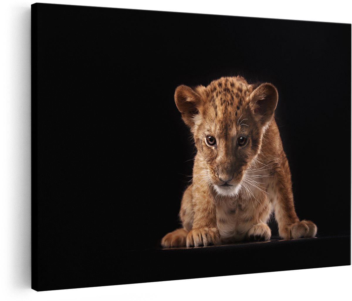 Artaza Canvas Schilderij Leeuwen Welp op het Zwart - Baby Leeuw - 150x100 cm - Groot - Foto Op Canvas - Wanddecoratie Woonkamer