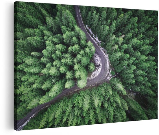 Vue aérienne d'une route sinueuse traversant une forêt luxuriante et verte avec des touches de neige.