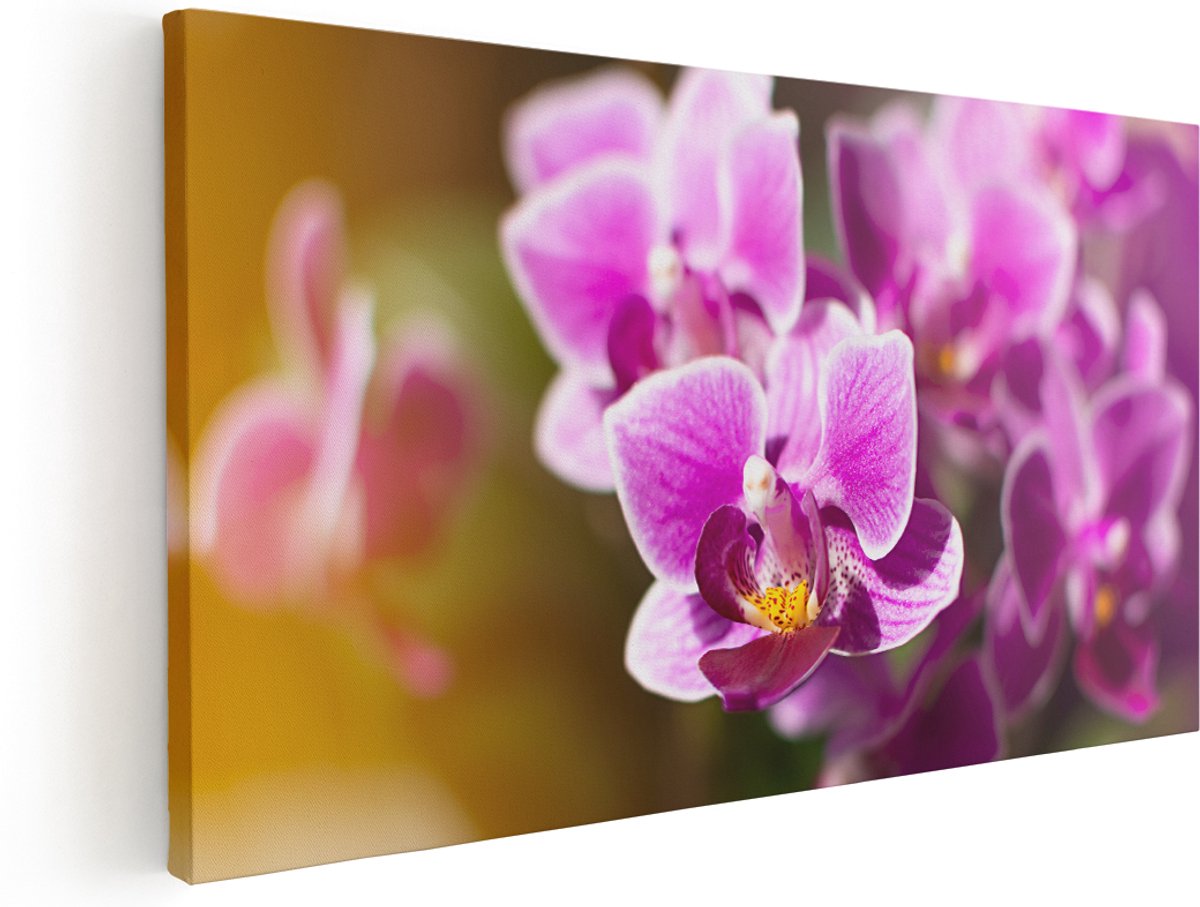 Artaza Canvas Schilderij Paarse Orchidee Bloemen - 180x90 cm - Groot - Wanddecoratie Woonkamer - Schilderijen - Muurdecoratie