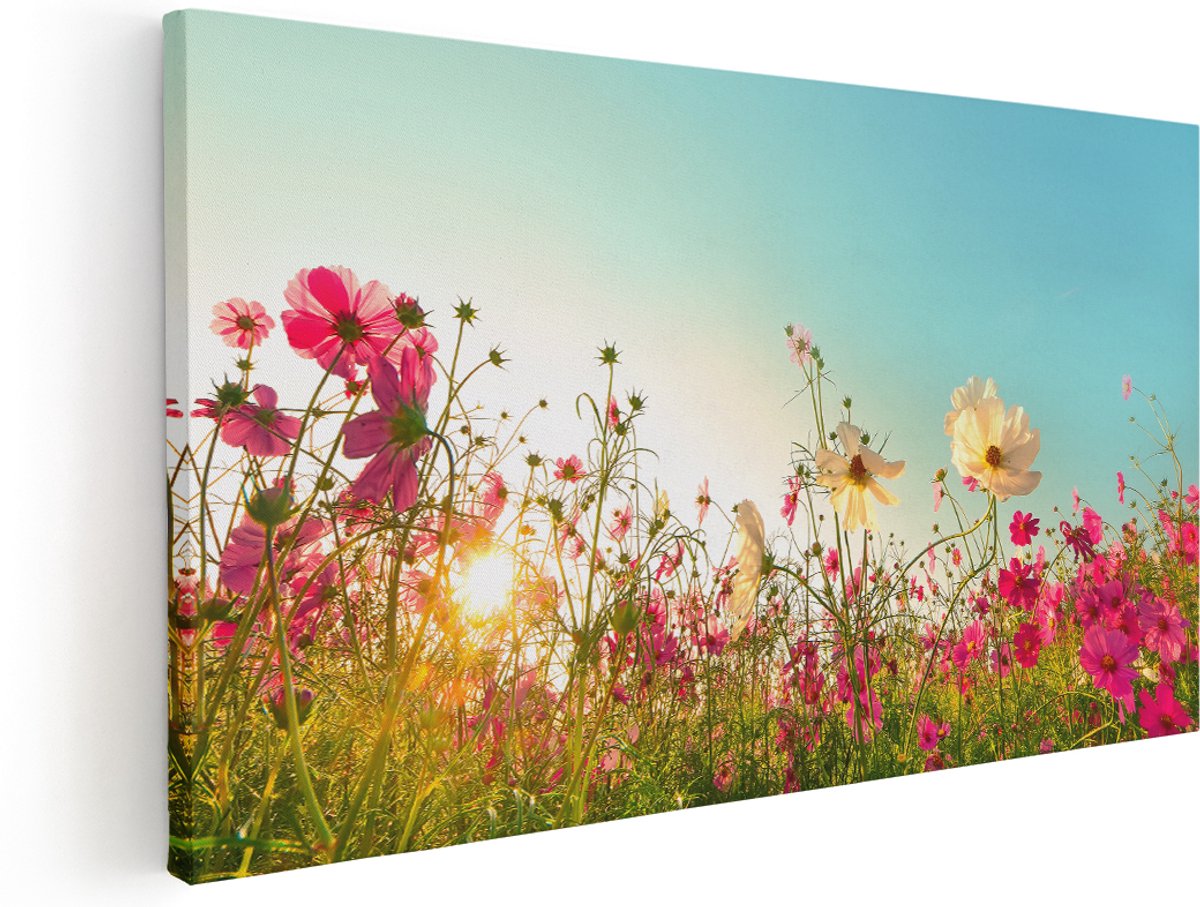Artaza Canvas Schilderij Kosmos Bloemenveld Met Een Opkomende Zon - 160x80 cm - Groot - Wanddecoratie Woonkamer - Schilderijen - Muurdecoratie