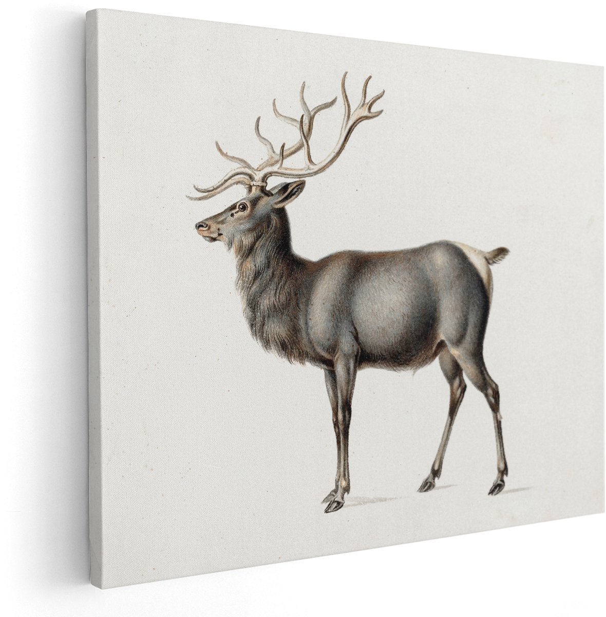Artaza Canvas Schilderij Hert - 150x120 cm - Groot - Wanddecoratie Edelhert Met Gewei - Muurdecoratie Dieren - Vintage Schilderijen Natuur