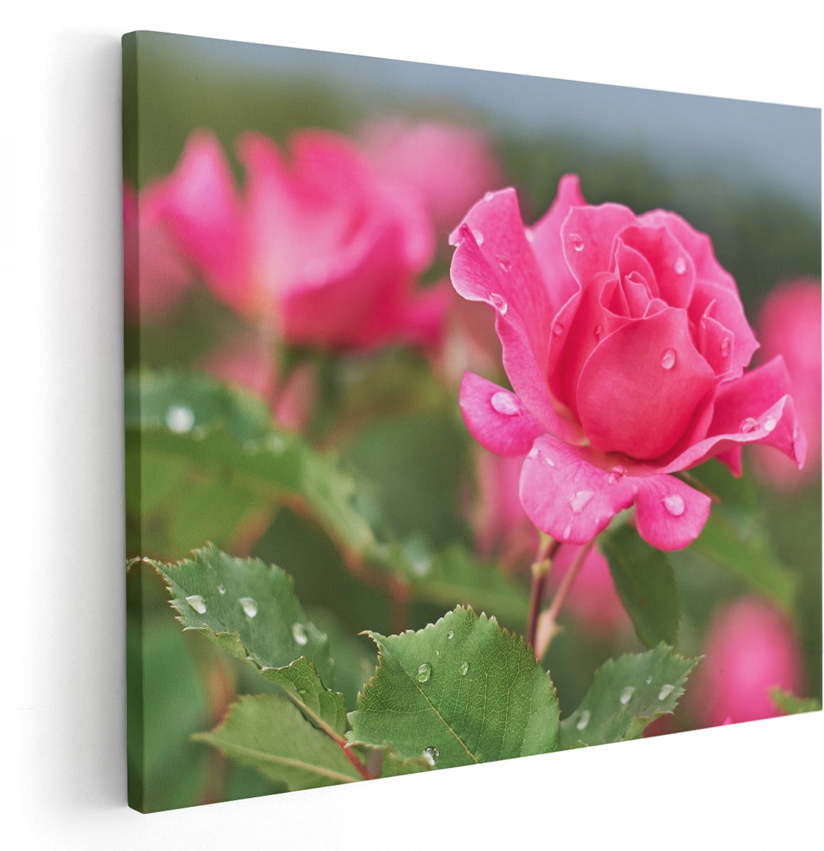 Artaza Canvas Schilderij Roze Roos Met Waterdruppels - 150x120 cm - Groot - Wanddecoratie Woonkamer - Schilderijen - Muurdecoratie
