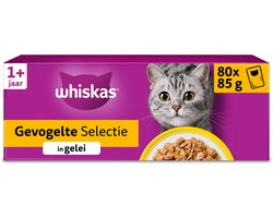 Whiskas Kattenvoer - Adult 1+ - Gevogelte in gelei - Giga-Pack 80x85g
