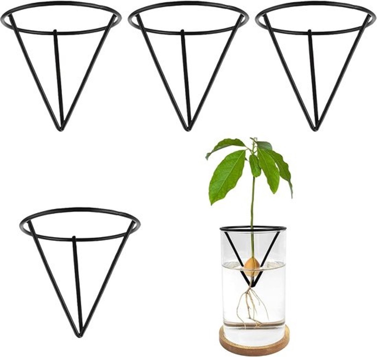 Avocado Zaad Starter - Spruit Vaas - Planten Kweken - Driehoekige Steun - 86 x 86 x 76 cm - Zwart